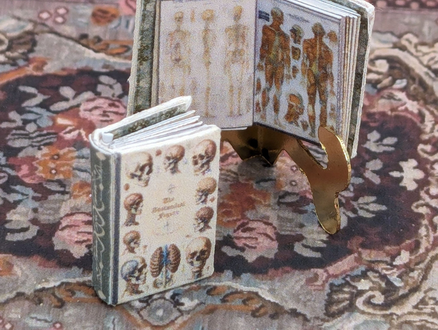 1:24 Scale Medical Anatomy Book - MstrcrftMinis - 1004