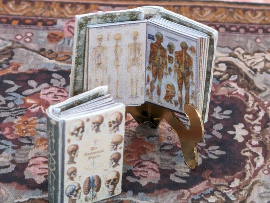 1:24 Scale Medical Anatomy Book - MstrcrftMinis - 1004