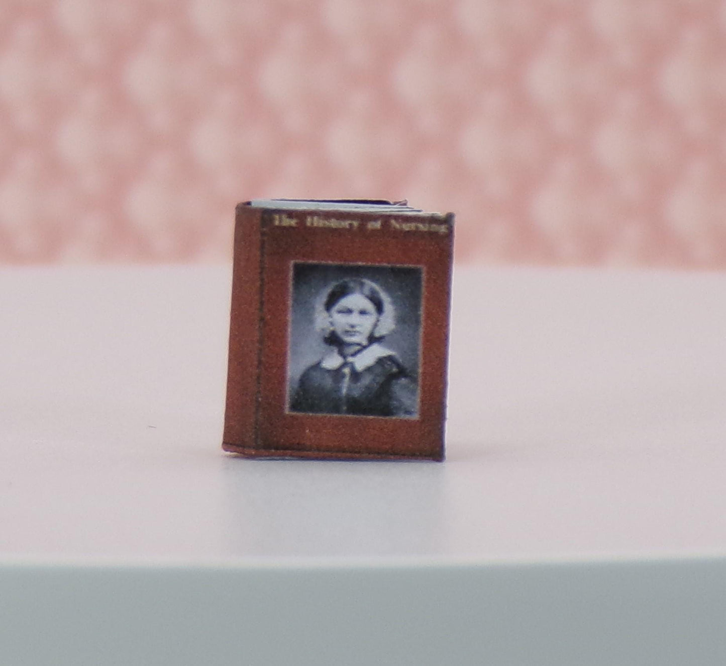 1:24 Scale Medical Nursing Books - MstrcrftMinis - 1086 - History