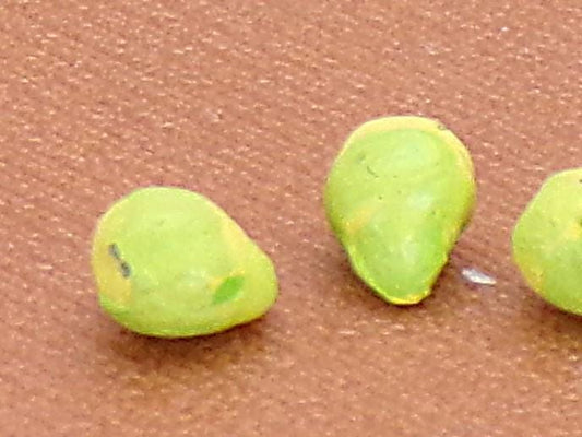 1:24 Scale Pears - MstrcrftMinis - 1151