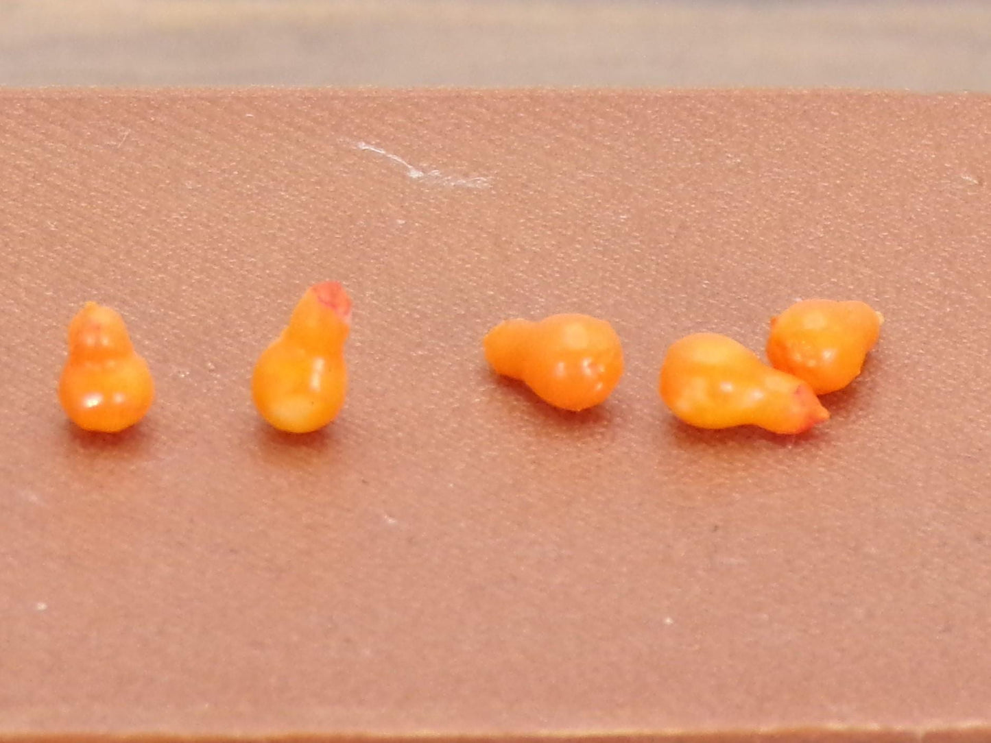 1:24 Scale Squash - MstrcrftMinis - 1157