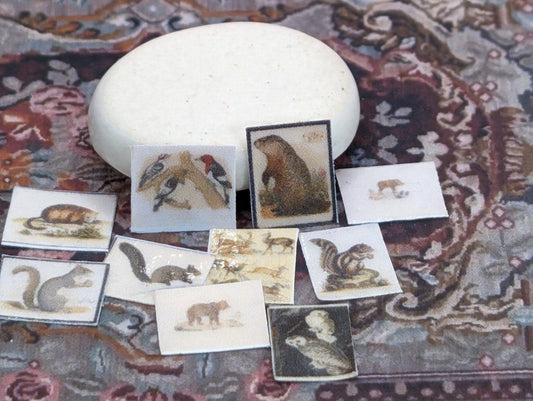 1:24 Scale Wild Animal Encyclopedia Set in 3 Volumes and Including 28 Wall Prints in 2 Sizes - MstrcrftMinis - 1015