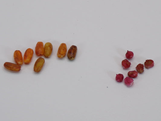 1:24 Scale Baking, Russett, Red Potatoes - MstrcrftMinis - 1176 - B