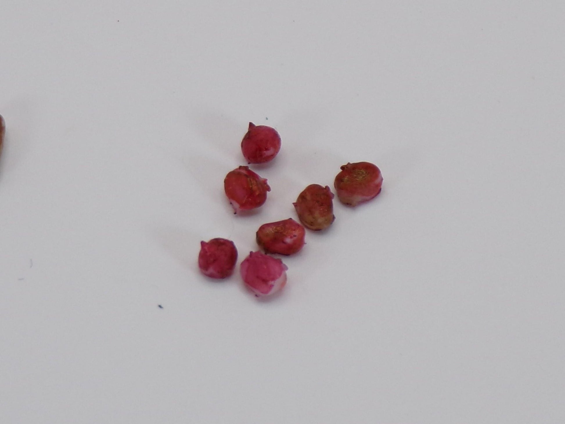 1:24 Scale Baking, Russett, Red Potatoes - MstrcrftMinis - 1176 - R