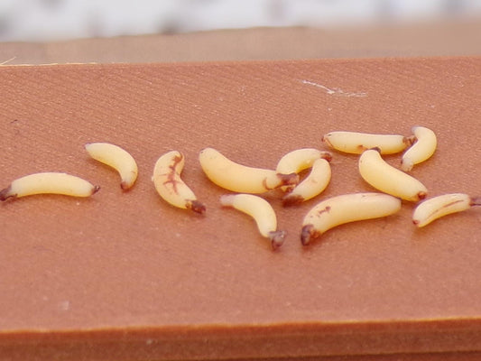 1:24 Scale Bananas - MstrcrftMinis - 1146