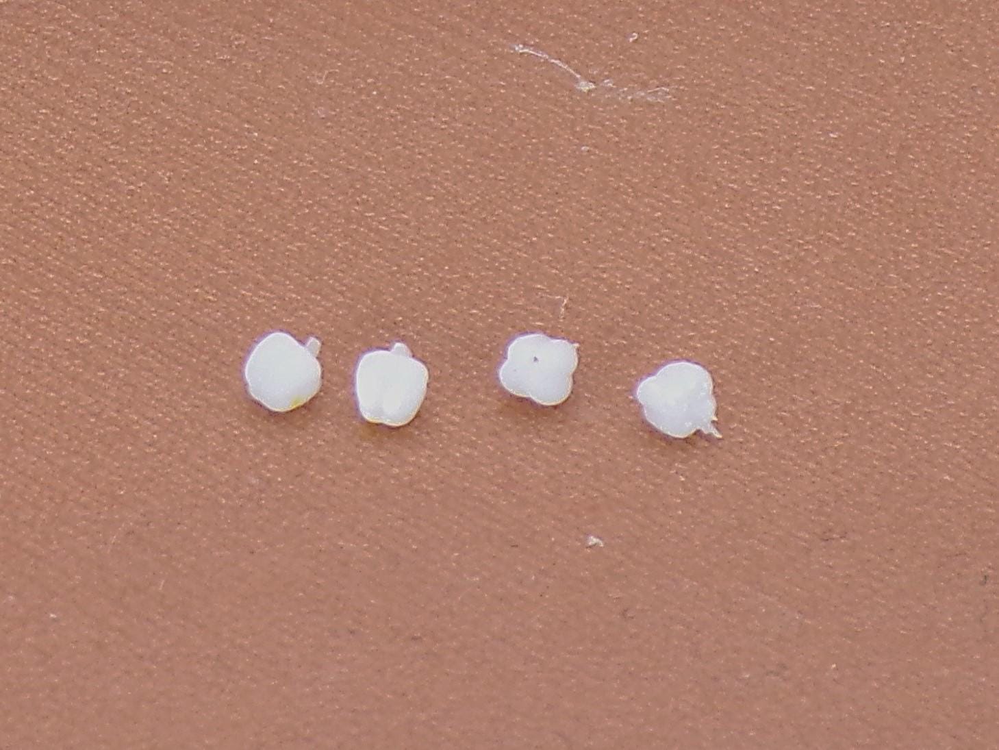 1:24 Scale Bell Peppers - MstrcrftMinis - 1156