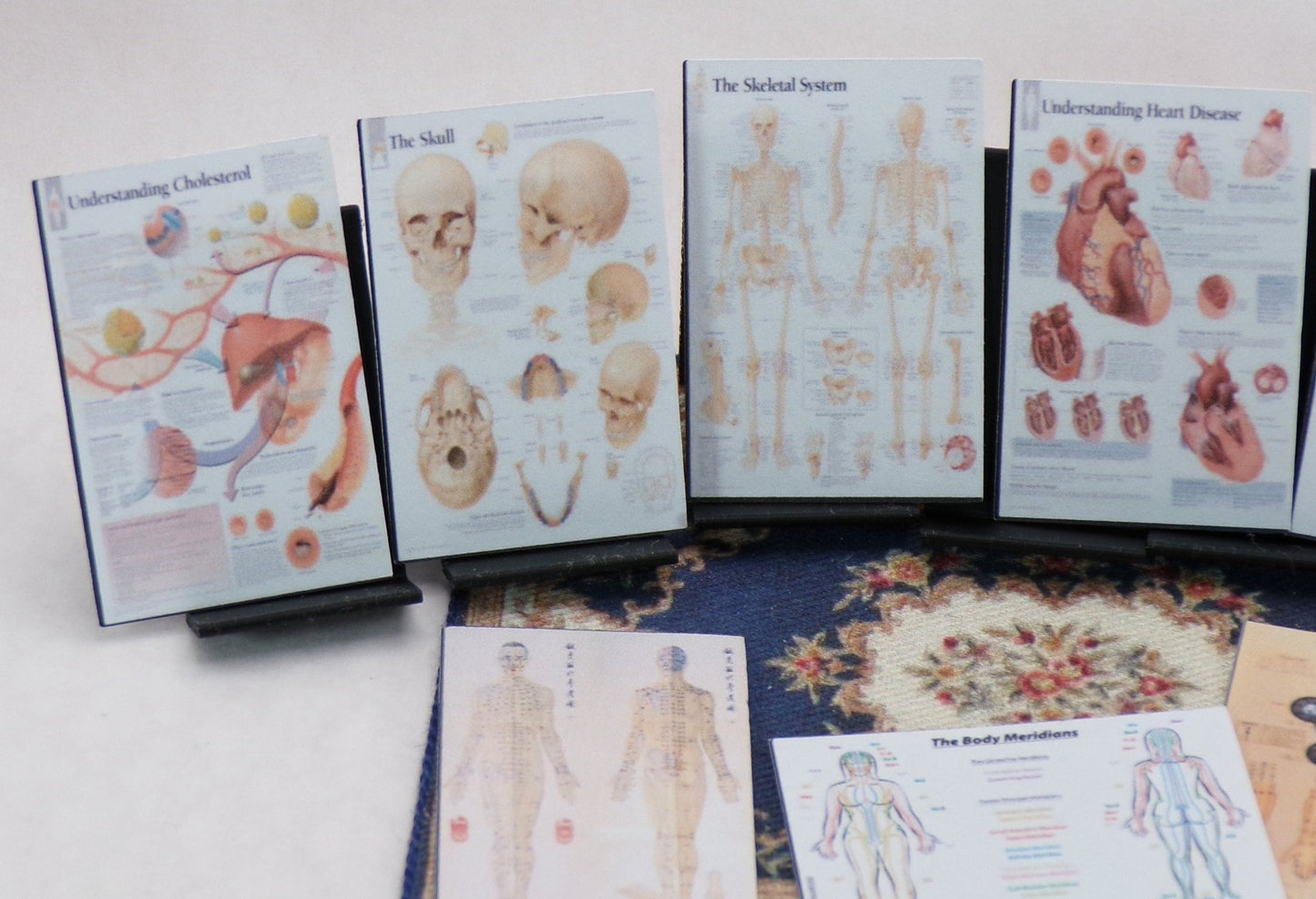 1:24 Scale Doctor's Office Files - Test Results, X - rays, Office Artwork, Educational Posters, Patient Files - MstrcrftMinis - 