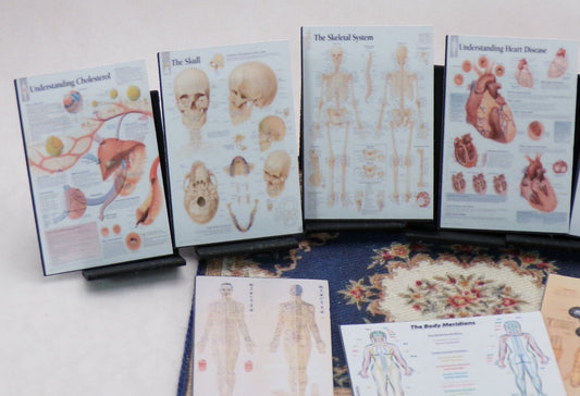1:24 Scale Doctor's Office Files - Test Results, X - rays, Office Artwork, Educational Posters, Patient Files - MstrcrftMinis - 
