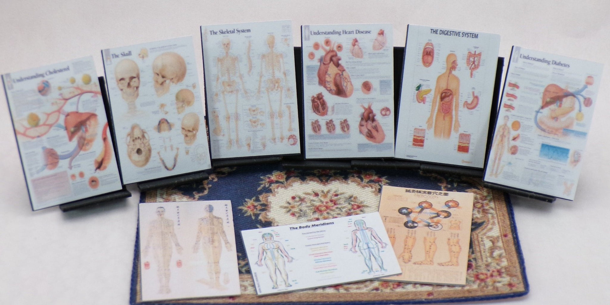 1:24 Scale Doctor's Office Files - Test Results, X - rays, Office Artwork, Educational Posters, Patient Files - MstrcrftMinis - 