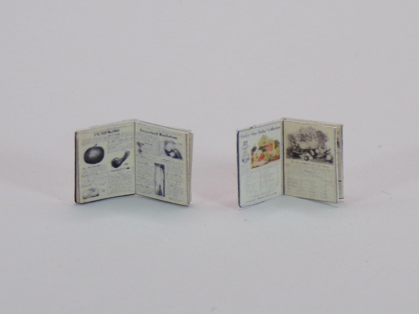 1:24 Scale Retail Catalogs - Seeds, VS, Sears, Bee Keeping, Generic Inside Pages to Design Your Own Miniature Catalogs - MstrcrftMinis - 1026