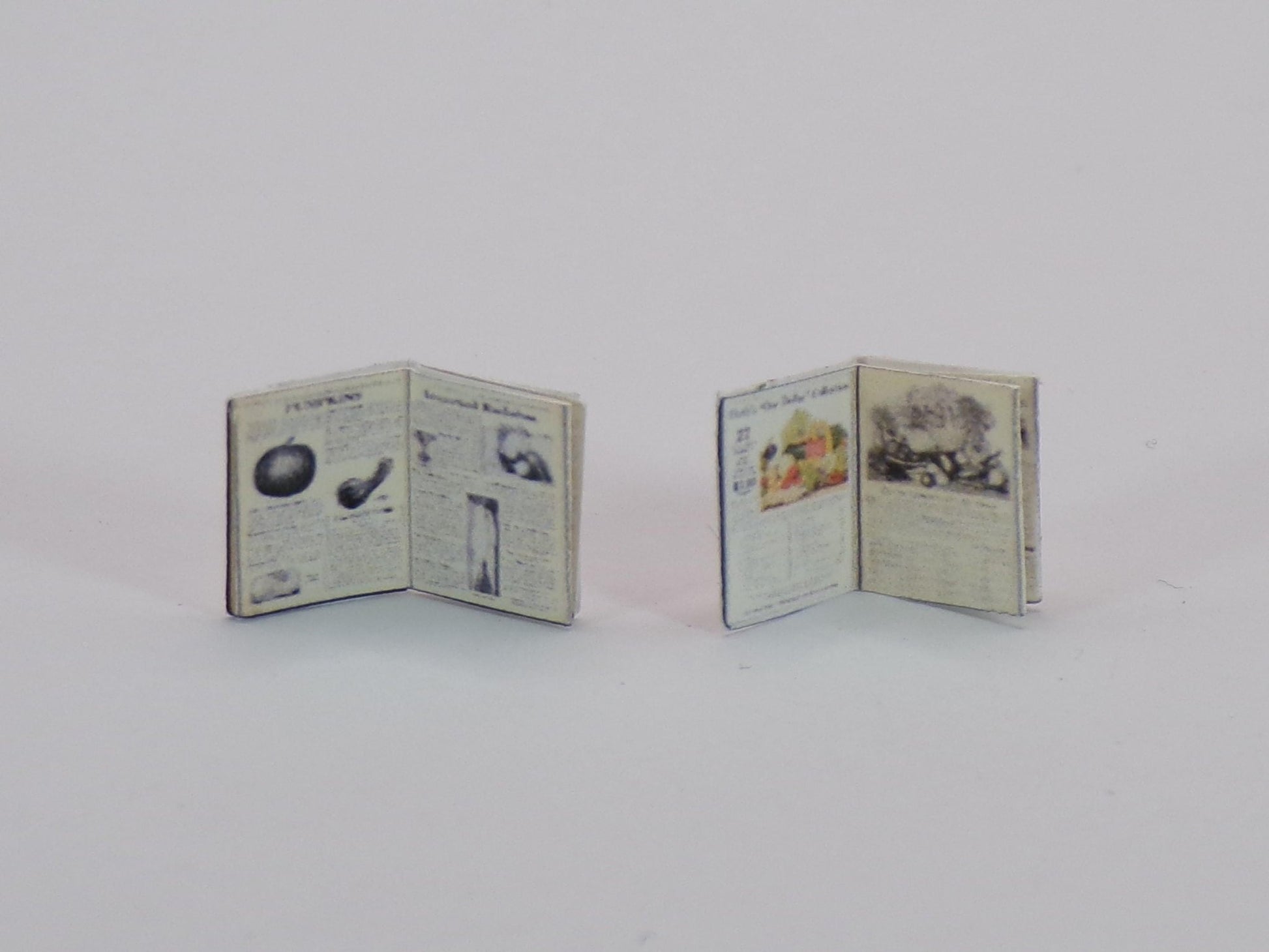 1:24 Scale Retail Catalogs - Seeds, VS, Sears, Bee Keeping, Generic Inside Pages to Design Your Own Miniature Catalogs - MstrcrftMinis - 1026
