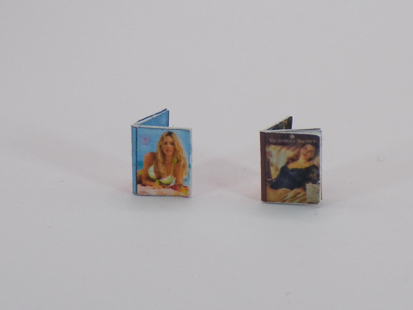 1:24 Scale Retail Catalogs - Seeds, VS, Sears, Bee Keeping, Generic Inside Pages to Design Your Own Miniature Catalogs - MstrcrftMinis - 1026