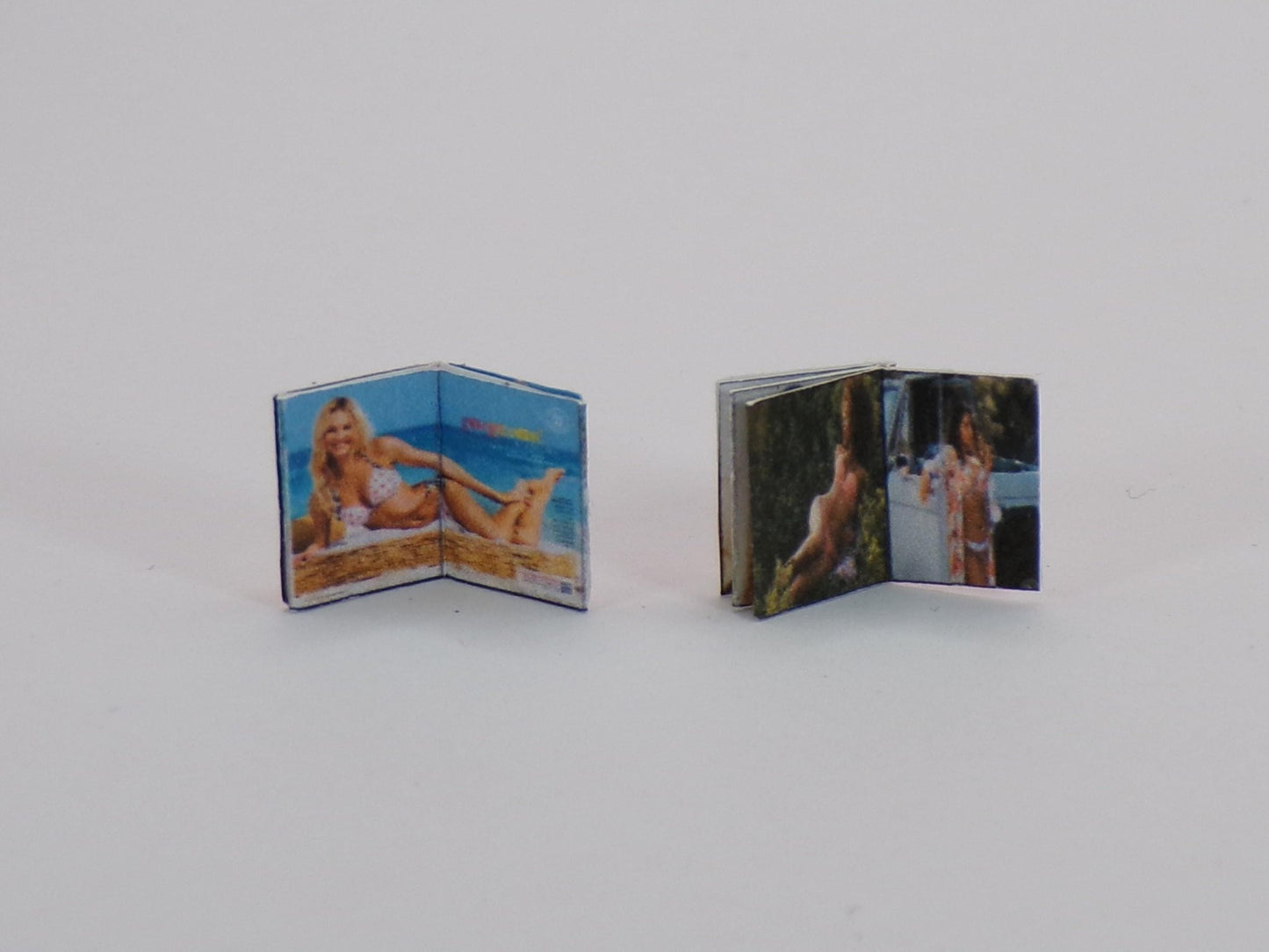 1:24 Scale Retail Catalogs - Seeds, VS, Sears, Bee Keeping, Generic Inside Pages to Design Your Own Miniature Catalogs - MstrcrftMinis - 1026