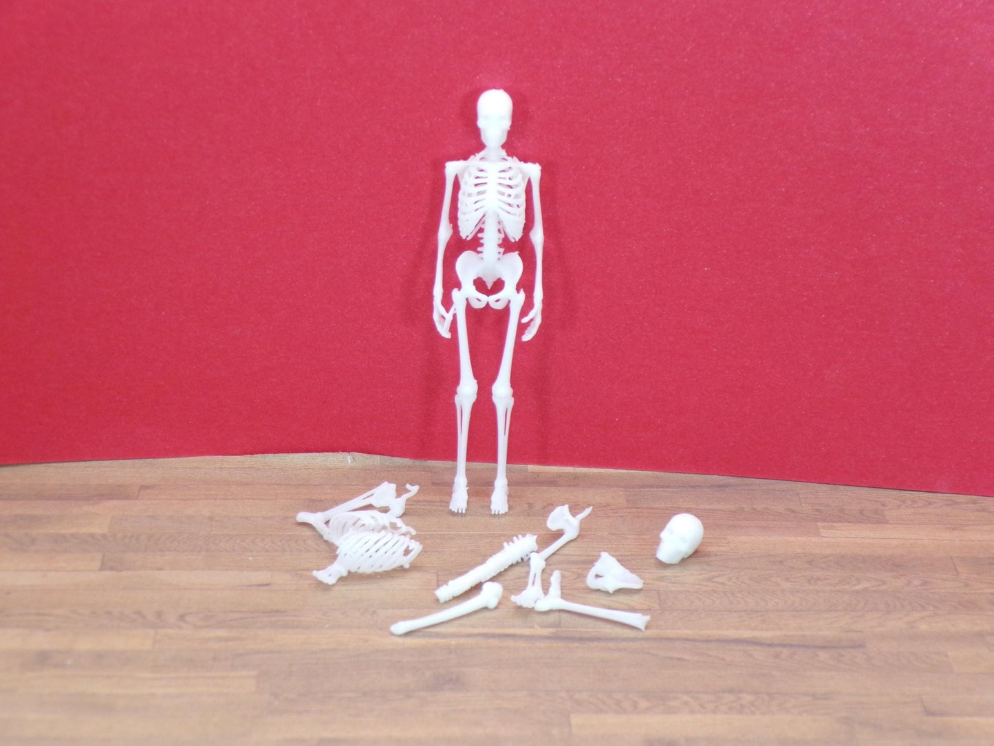 Eerie Miniature Skeleton: 1∶24 Scale Halloween Skeleton – Full Skeleton or Loose Bones - MstrcrftMinis - 1400