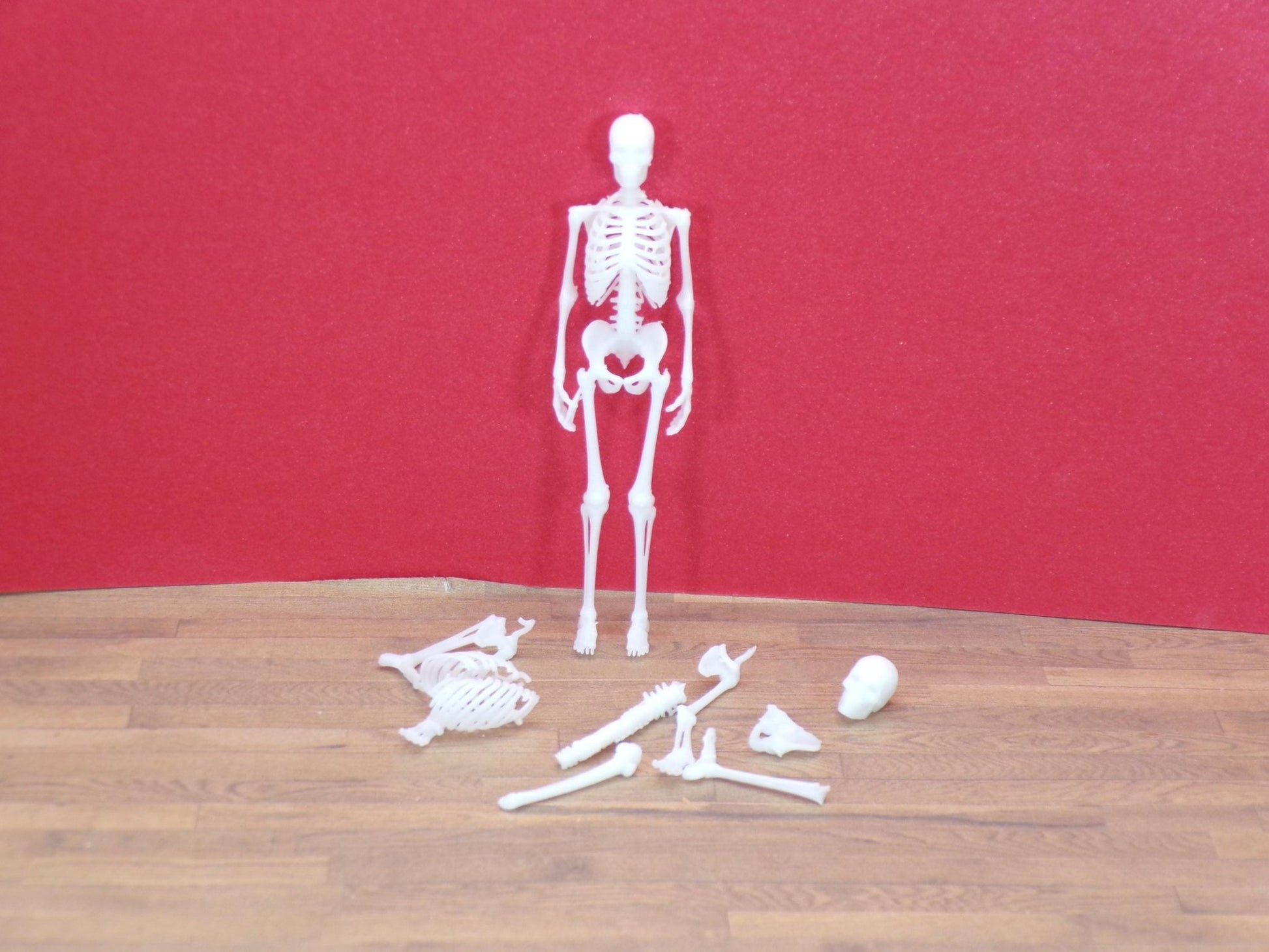 Eerie Miniature Skeleton: 1∶24 Scale Halloween Skeleton – Full Skeleton or Loose Bones - MstrcrftMinis - 1400
