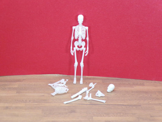Eerie Miniature Skeleton: 1∶24 Scale Halloween Skeleton – Full Skeleton or Loose Bones - MstrcrftMinis - 1400