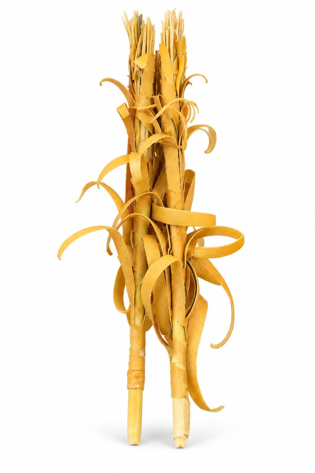 Corn Stalk Bundle – 1:24 Scale Miniature